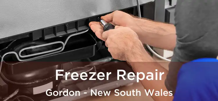 Freezer Repair Gordon - New South Wales
