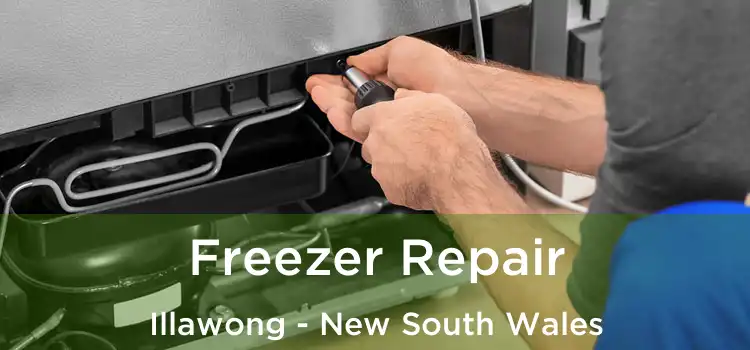 Freezer Repair Illawong - New South Wales