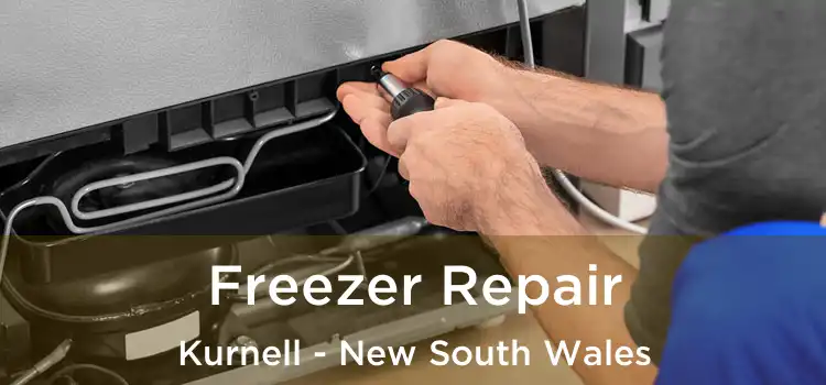 Freezer Repair Kurnell - New South Wales