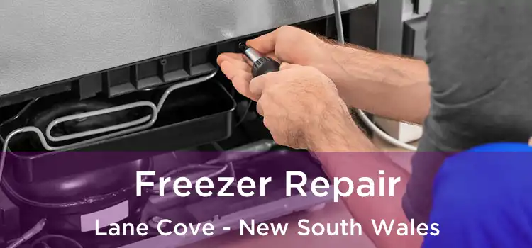 Freezer Repair Lane Cove - New South Wales