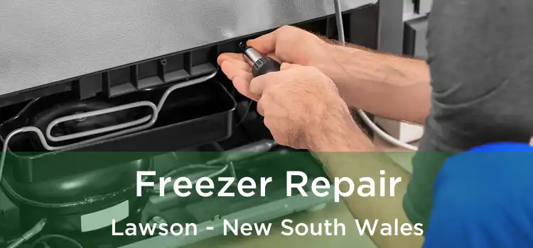 Freezer Repair Lawson - New South Wales