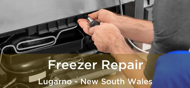 Freezer Repair Lugarno - New South Wales