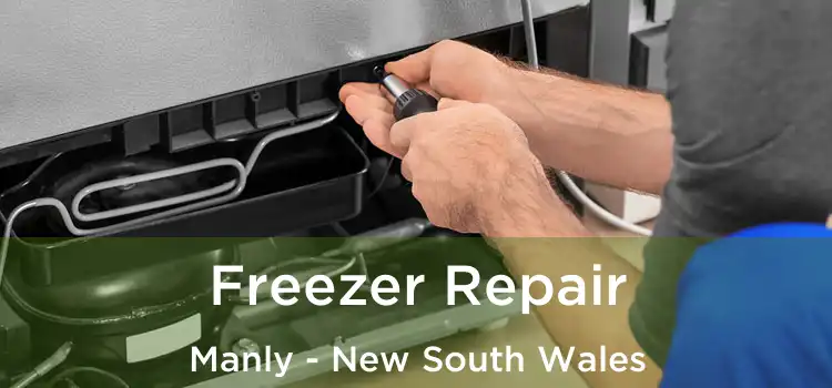 Freezer Repair Manly - New South Wales