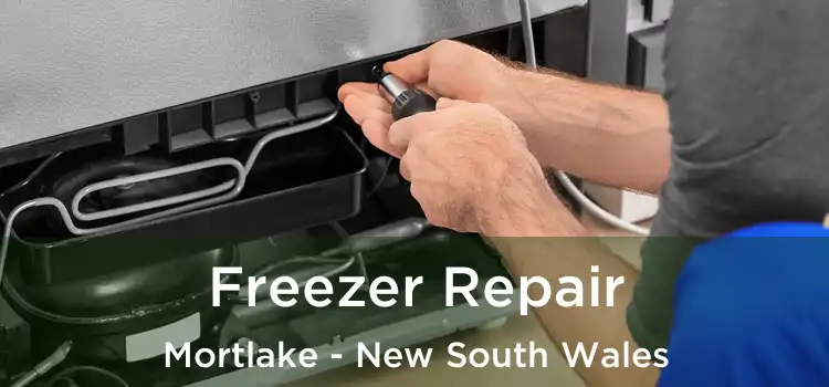 Freezer Repair Mortlake - New South Wales