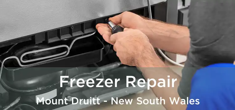 Freezer Repair Mount Druitt - New South Wales