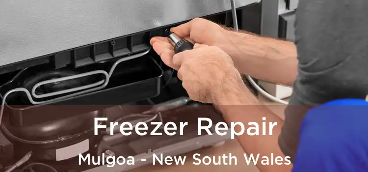 Freezer Repair Mulgoa - New South Wales