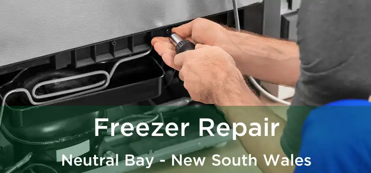 Freezer Repair Neutral Bay - New South Wales