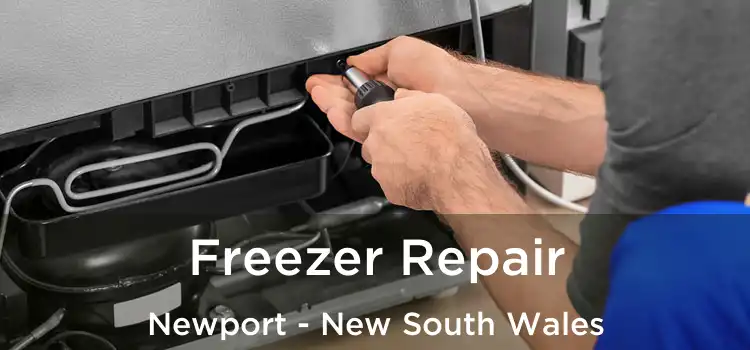 Freezer Repair Newport - New South Wales