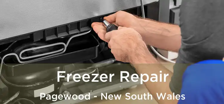 Freezer Repair Pagewood - New South Wales