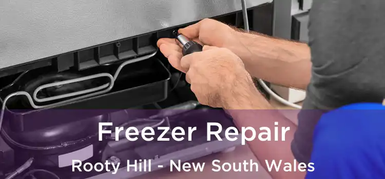 Freezer Repair Rooty Hill - New South Wales