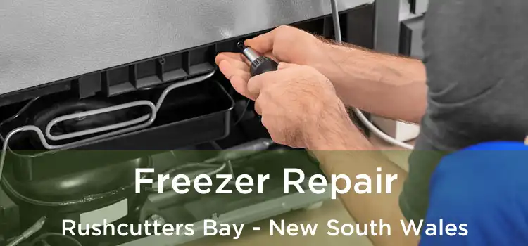 Freezer Repair Rushcutters Bay - New South Wales