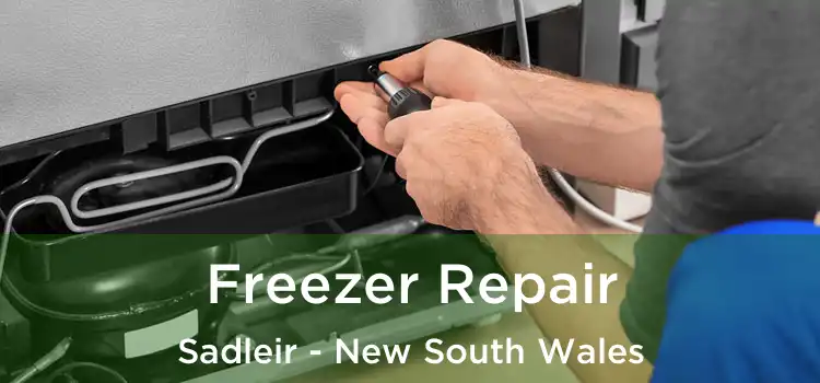 Freezer Repair Sadleir - New South Wales