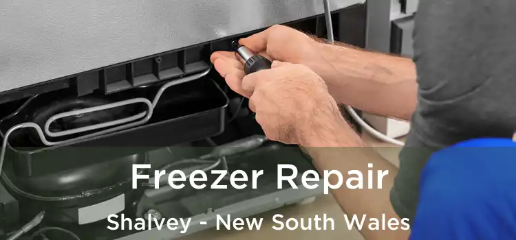 Freezer Repair Shalvey - New South Wales