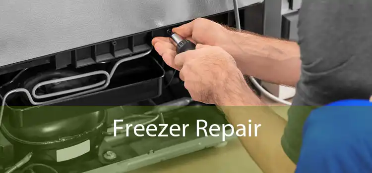 Freezer Repair