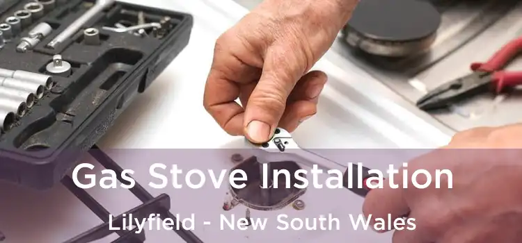 Gas Stove Installation Lilyfield - New South Wales