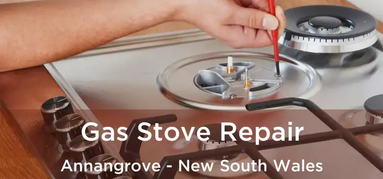 Gas Stove Repair Annangrove - New South Wales