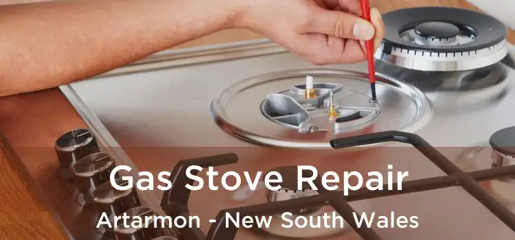 Gas Stove Repair Artarmon - New South Wales
