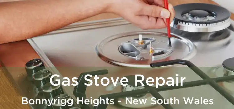 Gas Stove Repair Bonnyrigg Heights - New South Wales