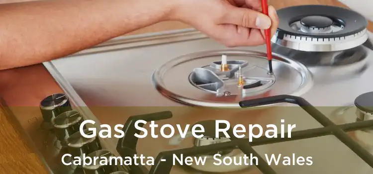 Gas Stove Repair Cabramatta - New South Wales