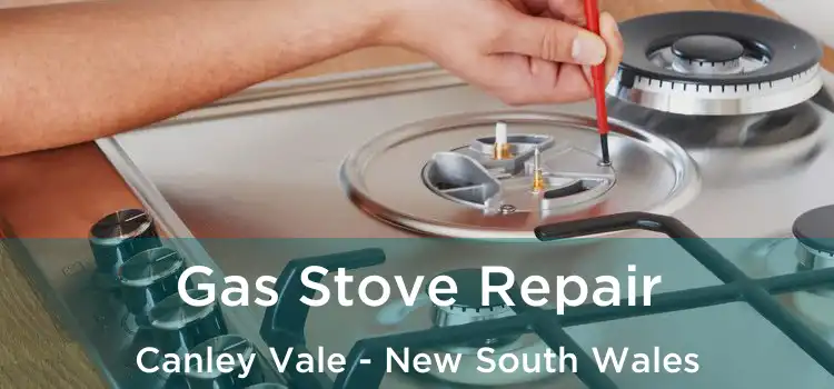 Gas Stove Repair Canley Vale - New South Wales