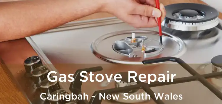 Gas Stove Repair Caringbah - New South Wales
