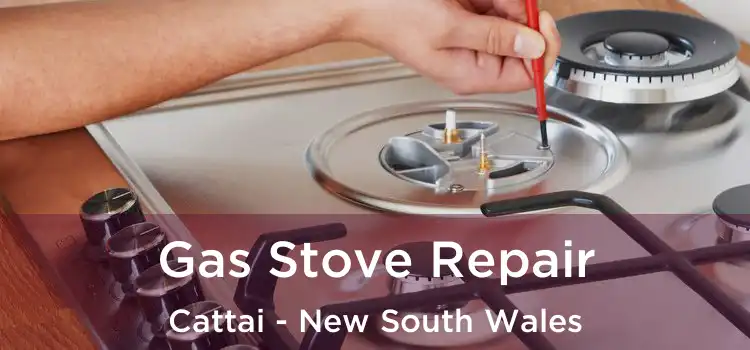 Gas Stove Repair Cattai - New South Wales