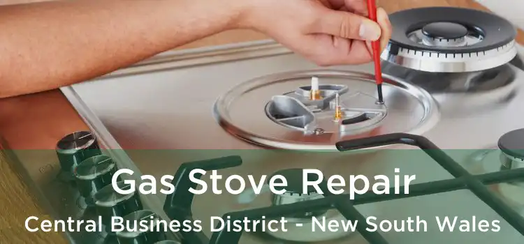 Gas Stove Repair Central Business District - New South Wales