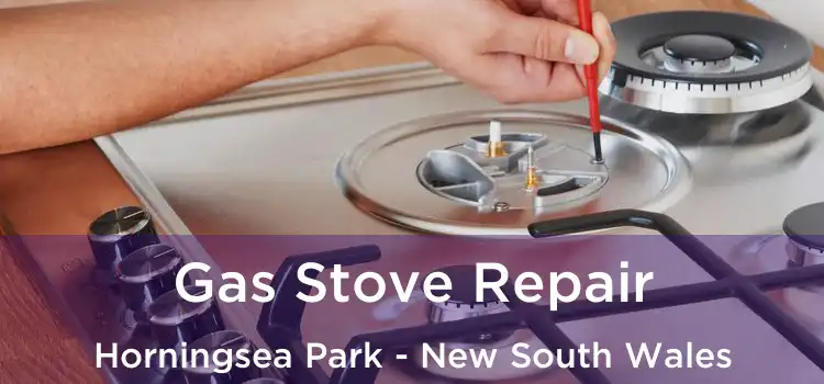 Gas Stove Repair Horningsea Park - New South Wales