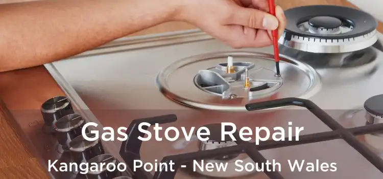 Gas Stove Repair Kangaroo Point - New South Wales
