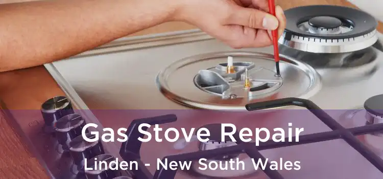 Gas Stove Repair Linden - New South Wales