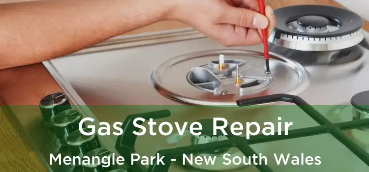 Gas Stove Repair Menangle Park - New South Wales