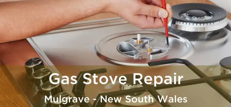 Gas Stove Repair Mulgrave - New South Wales