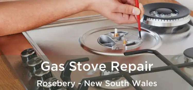 Gas Stove Repair Rosebery - New South Wales