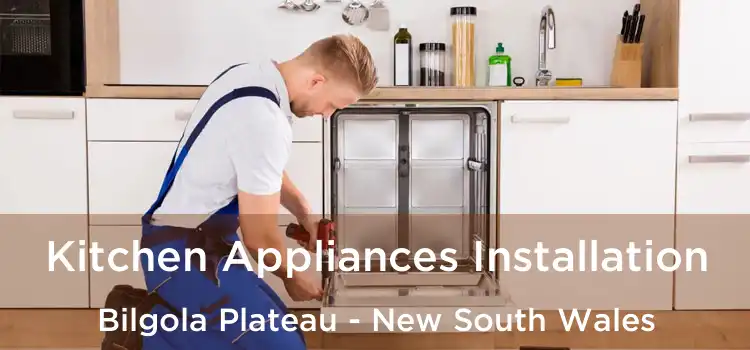 Kitchen Appliances Installation Bilgola Plateau - New South Wales