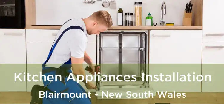 Kitchen Appliances Installation Blairmount - New South Wales