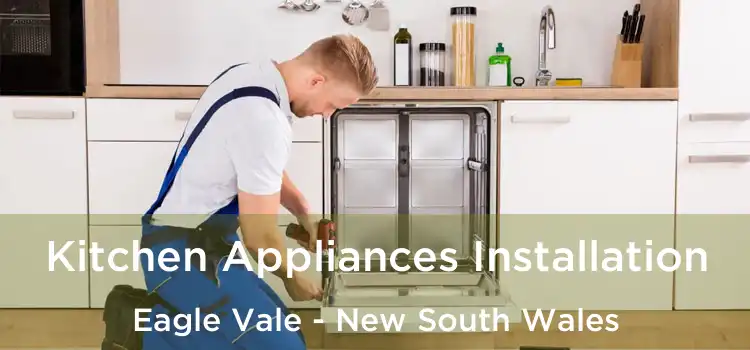 Kitchen Appliances Installation Eagle Vale - New South Wales