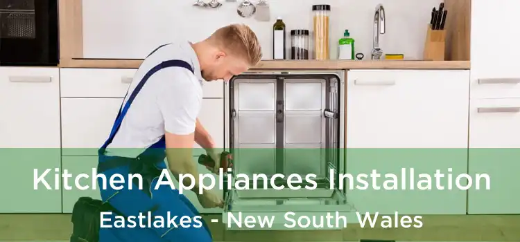 Kitchen Appliances Installation Eastlakes - New South Wales