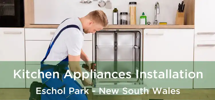 Kitchen Appliances Installation Eschol Park - New South Wales