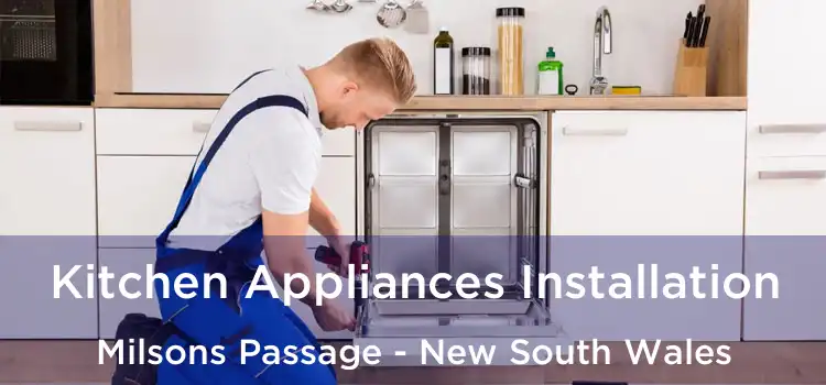 Kitchen Appliances Installation Milsons Passage - New South Wales