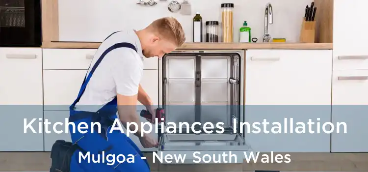 Kitchen Appliances Installation Mulgoa - New South Wales