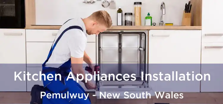 Kitchen Appliances Installation Pemulwuy - New South Wales
