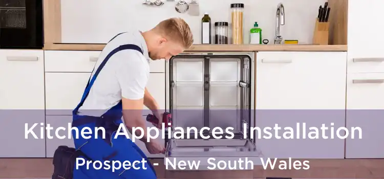 Kitchen Appliances Installation Prospect - New South Wales