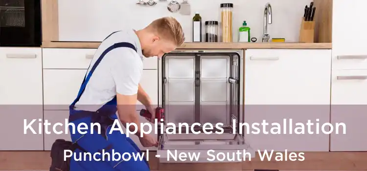 Kitchen Appliances Installation Punchbowl - New South Wales