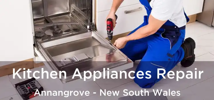 Kitchen Appliances Repair Annangrove - New South Wales