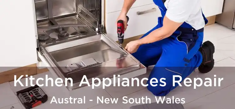 Kitchen Appliances Repair Austral - New South Wales