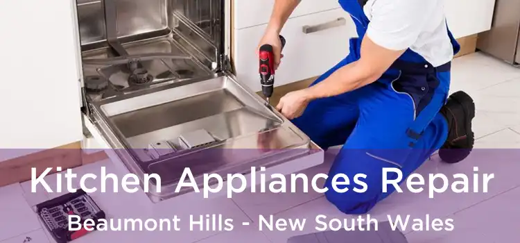 Kitchen Appliances Repair Beaumont Hills - New South Wales