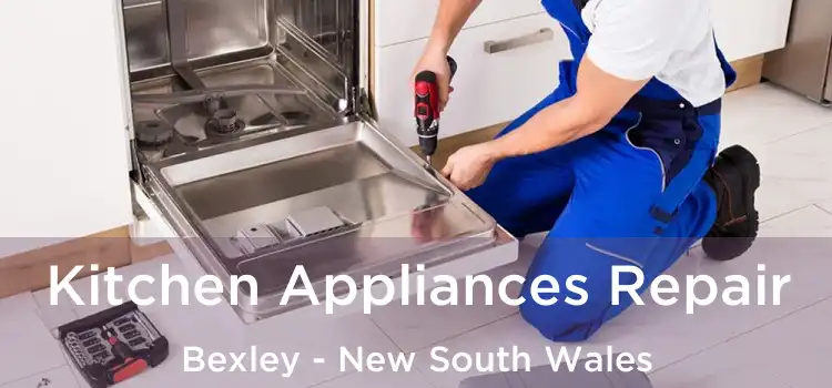 Kitchen Appliances Repair Bexley - New South Wales