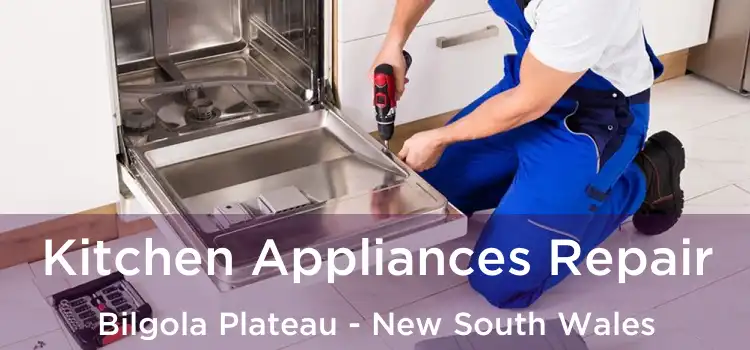 Kitchen Appliances Repair Bilgola Plateau - New South Wales