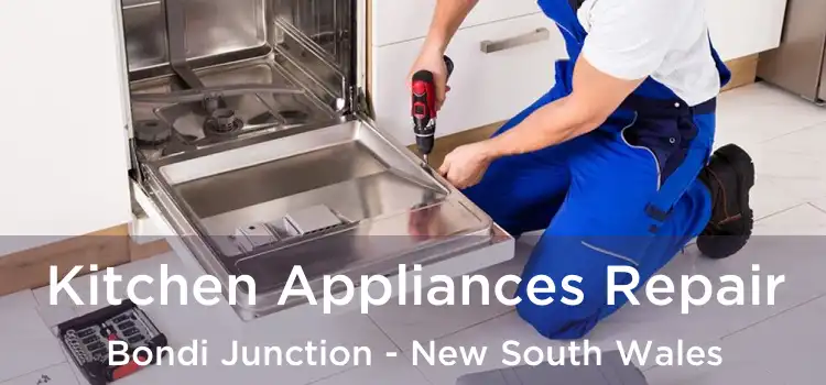Kitchen Appliances Repair Bondi Junction - New South Wales