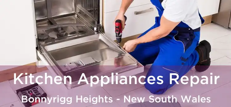 Kitchen Appliances Repair Bonnyrigg Heights - New South Wales